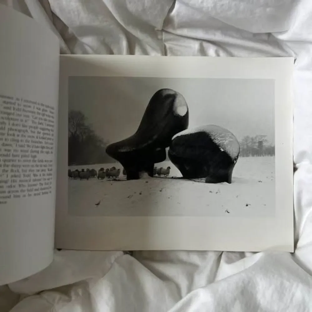 John Loengard, Pictures Under Discussion